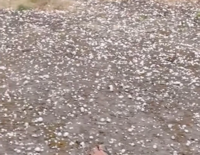 Edirne’de dolu yağışı etkili oldu
