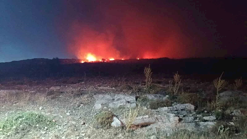 Menemen’de makilik alanda yangın
