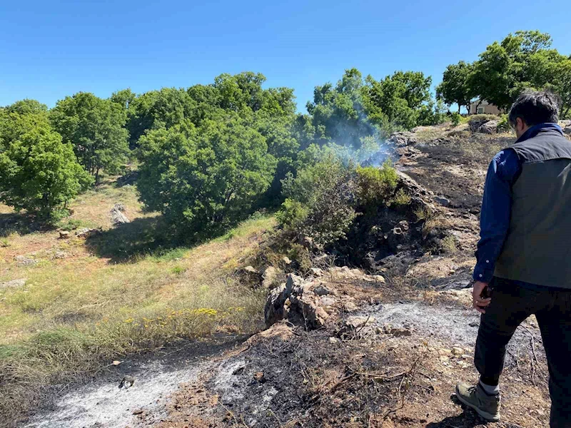 Tunceli’de yangın köye sıçramadan engellendi
