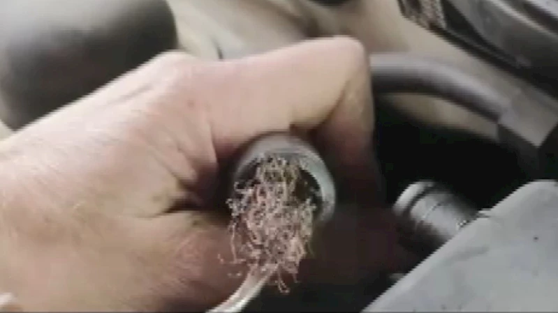 Pes dedirten görüntü: Otomobilin motorundan bulaşık teli çıktı
