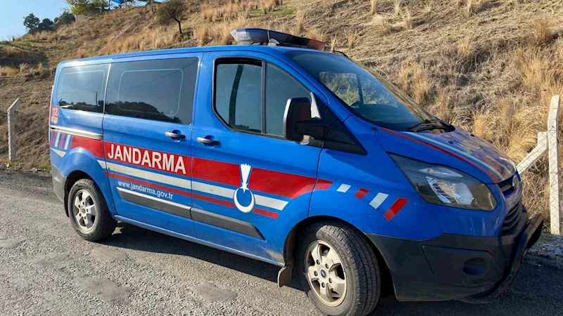Genç kız hayvan damında ölü bulundu
