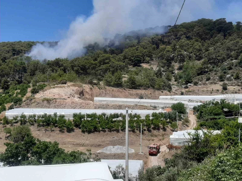 Antalya’da orman yangını
