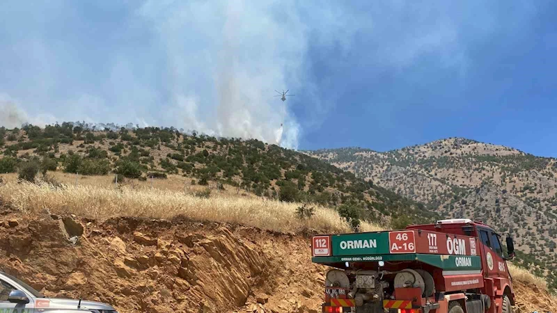 Kahramanmaraş’ta orman yangını sürüyor
