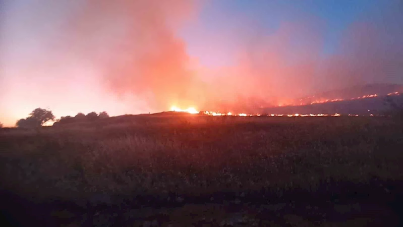 Mardin’de dağlık alanda çıkan yangın söndürüldü
