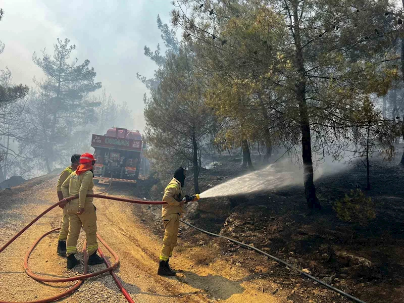 Sakarya’da başlayan orman yangını Osmaneli’ne de sıçradı
