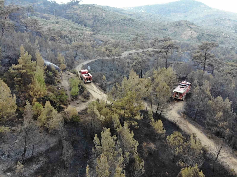 Balıkesir Havran’daki yangında havadan müdahale sabahın ilk ışıklarıyla tekrar başladı
