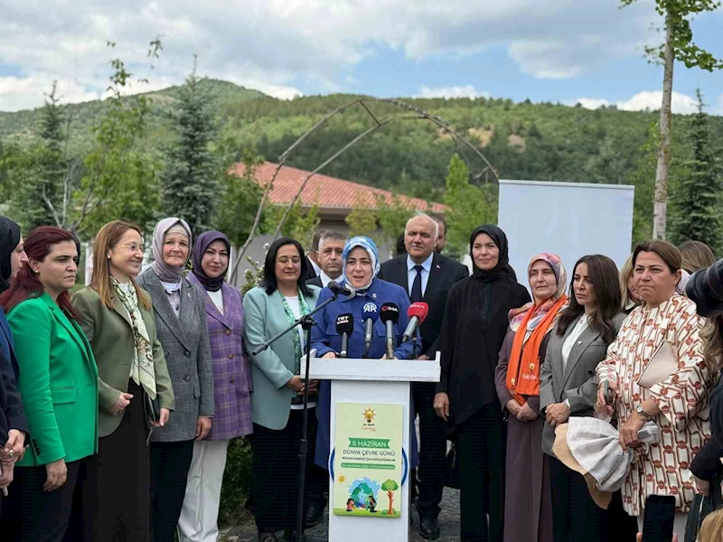 AK Parti Genel Merkez Kadın Kolları Başkanı Ercan: 