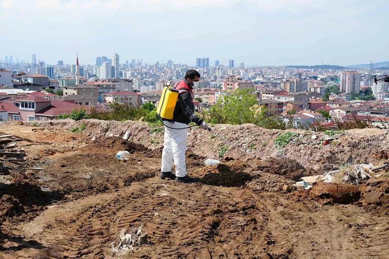 Kurban Bayramı öncesi Ataşehir’de denetimler artırıldı
