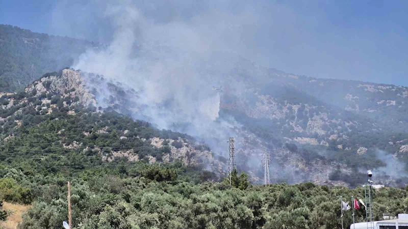 Bodrum’daki yangın kontrol altına alındı
