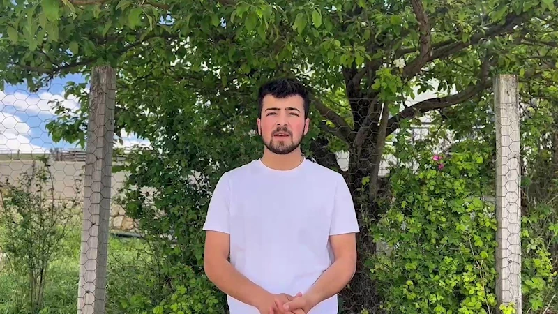 Yılkı atları doğada dans etti, o anlar cep telefonu kamerasına yansıdı
