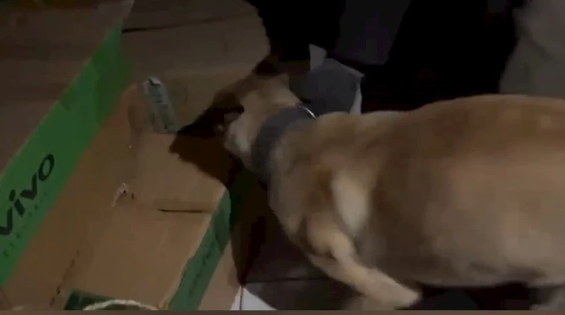 Narkotik köpeği ETA, zehir tacirlerine göz açtırmıyor
