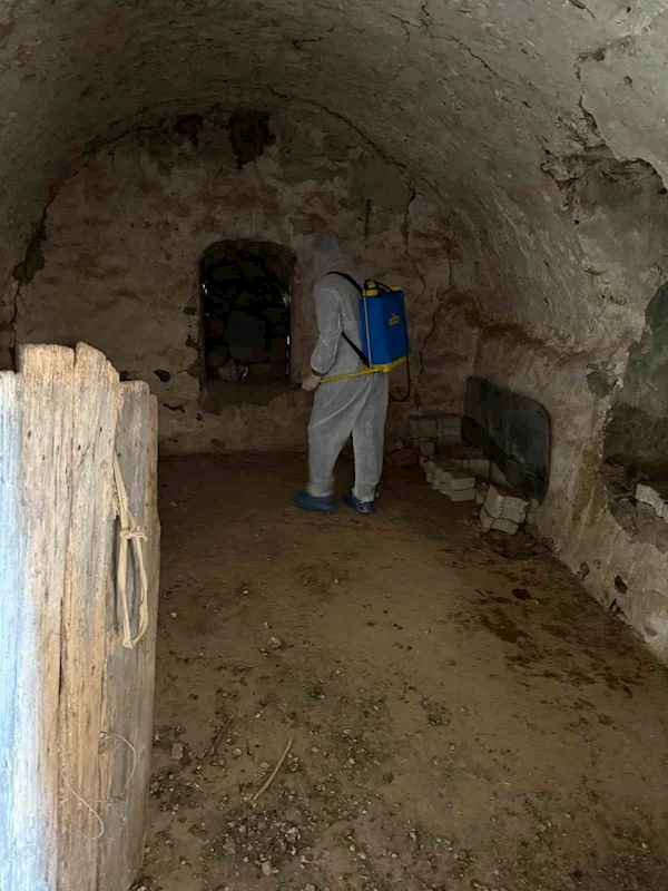 Şırnak’ta şap hastalığı tespit edildi bir köy karantinaya alındı
