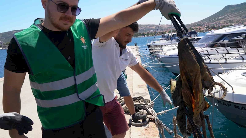 AK Parti İzmir’den Dünya Çevre Günü’nde denizde dip tarama temizliği
