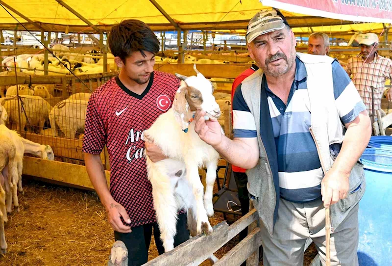 Bahçelievler kurban pazarı hem alıcıların hem de satıcıların yüzünü güldürdü
