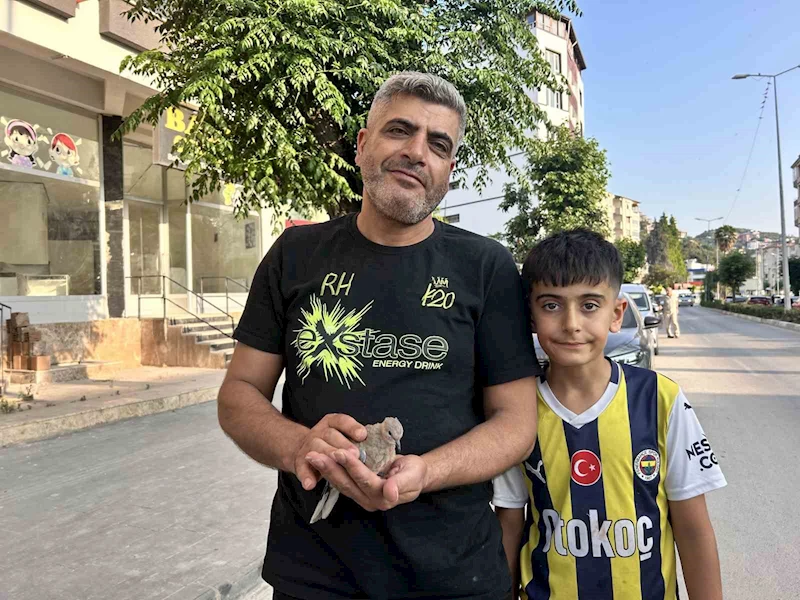 Yavru kumruyu kurtarmak için seferber oldu
