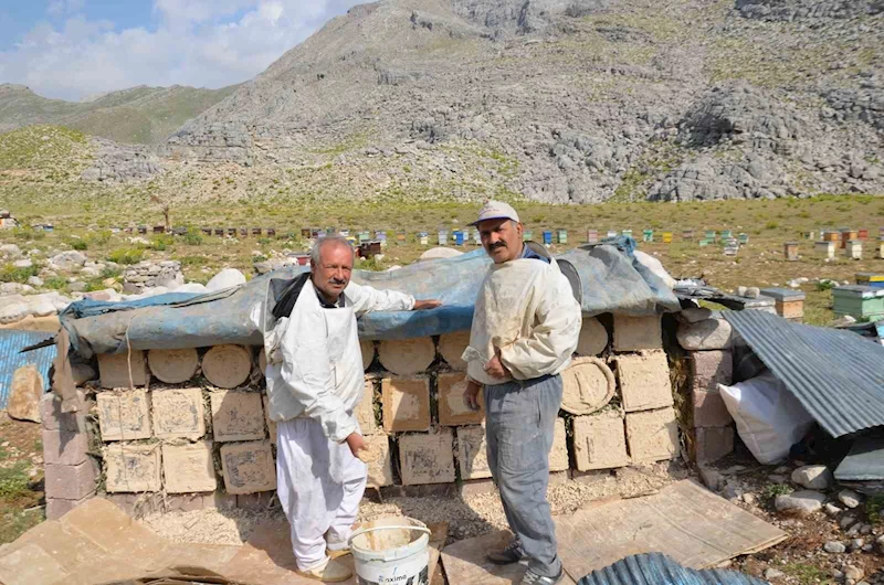 Antalya’da arıcılar kara kovanlarını yüksek kesimlerdeki yaylalara çıkardı
