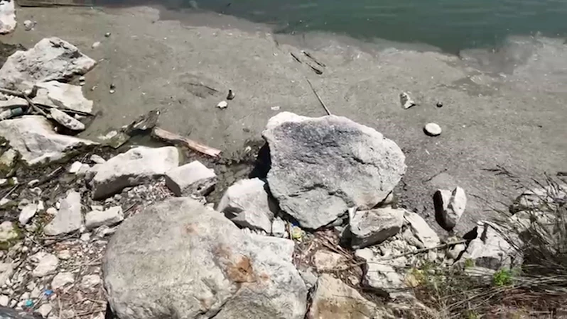 Bakırköy Botanik Parkı 14 aydır kapalı: 