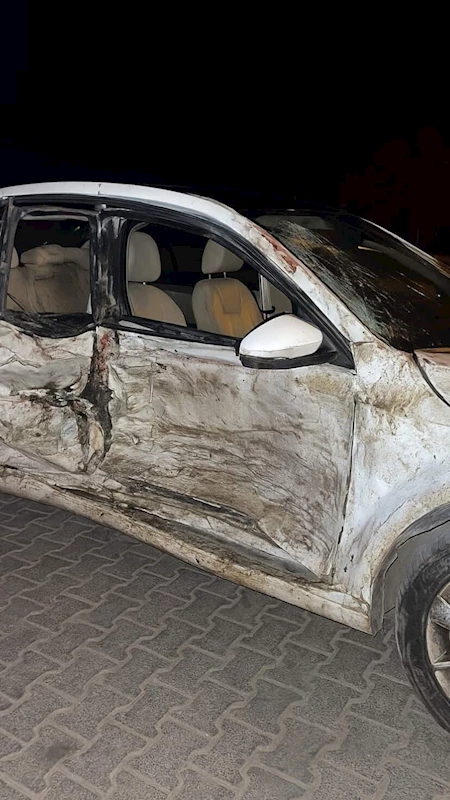 Devrilen otomobilin sürücüsü yaralandı
