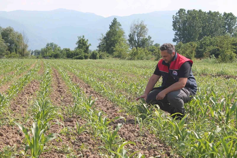 Son gün 10 Haziran
