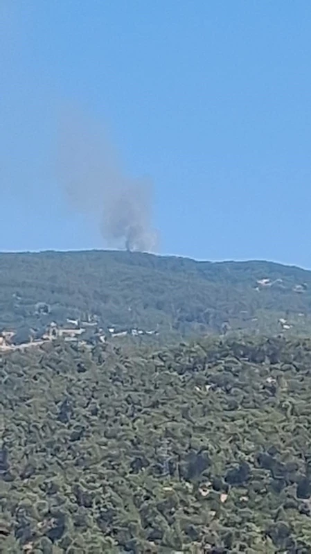 Çine’de orman yangını
