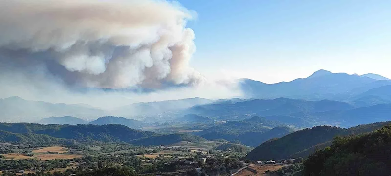 Suriye’de devam eden orman yangını Türkiye sınırına ulaştı
