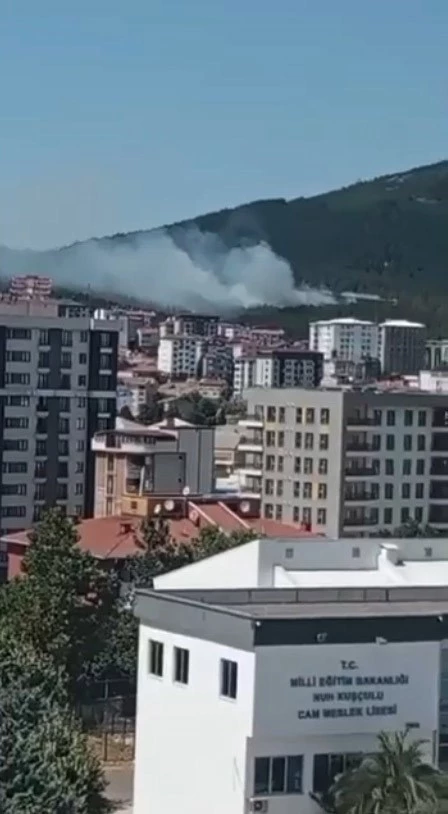 Pendik Aydos Ormanı’nda yangın kontrol altına alındı
