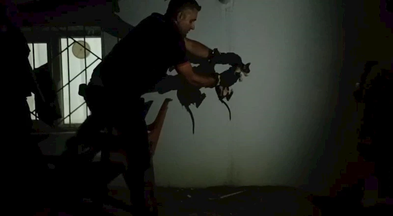 Batman’da lavabo borusuna sıkışan kediyi itfaiye kurtardı
