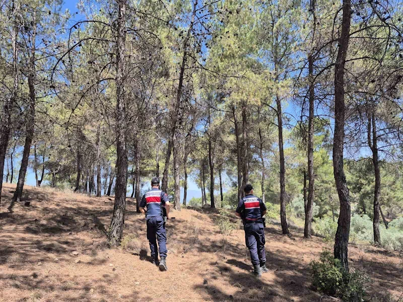 Jandarmanın ‘orman’ nöbeti aralıksız devam ediyor

