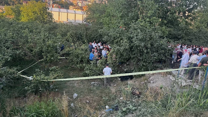 Zonguldak’ta kamyonet fındık bahçesine uçtu: Araçtan fırlayan sürücü öldü
