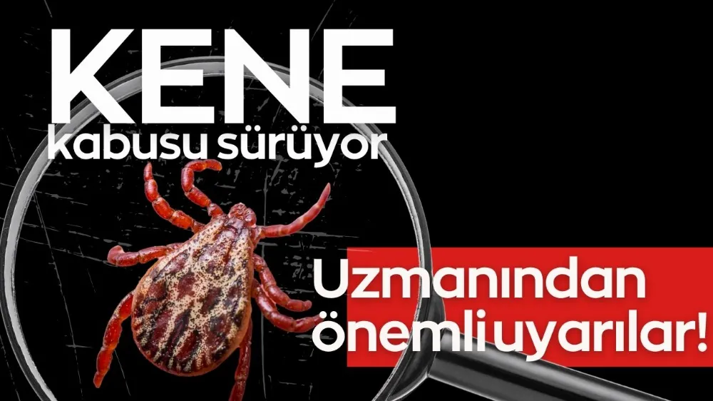 Uzmanından 