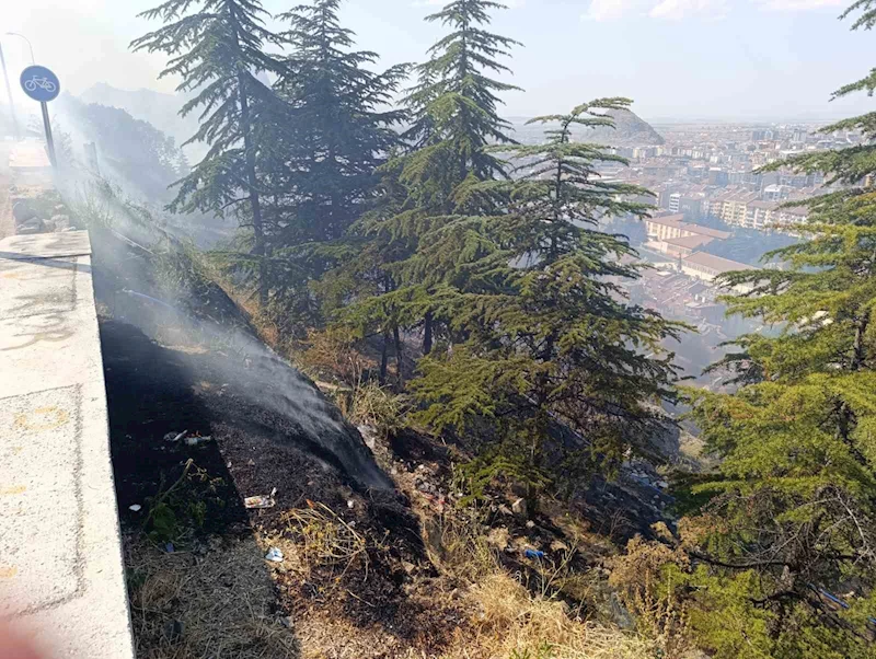 Ağaçlık alandaki yangın paniğe neden oldu
