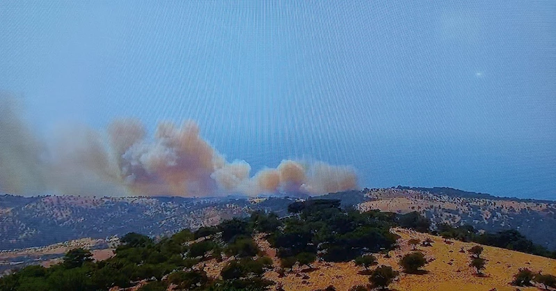 Ayvacık’ta başlayan orman yanınına müdahale ediliyor
