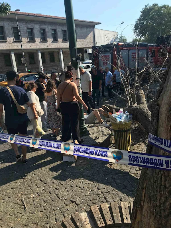 Beşiktaş’ta kaldırımda giden 3 kişinin üzerine ağaç devrildi
