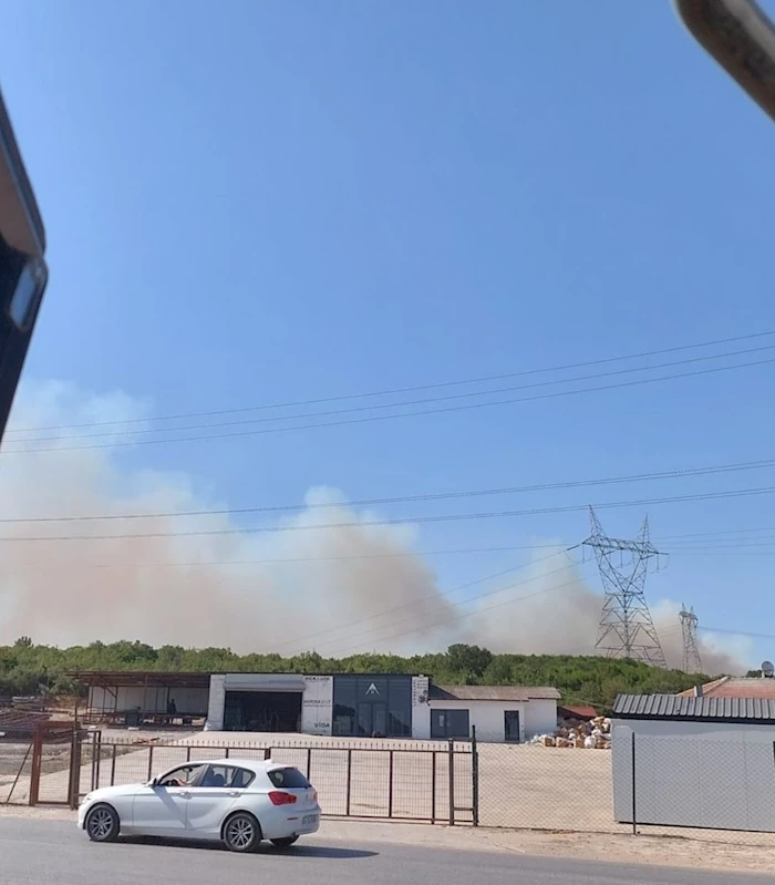 Kocaeli’de ormanlık alanda yangın çıktı
