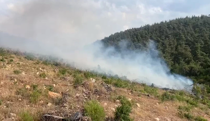 Aynı bölgede 15 günde 2’nci orman yangını
