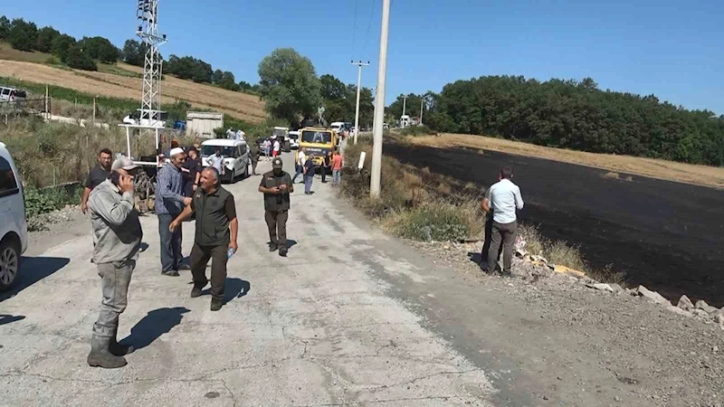 1 yıllık emek kül oldu, orman son anda kurtarıldı
