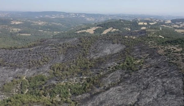 Altıeylül’deki yangın havadan görüntülendi
