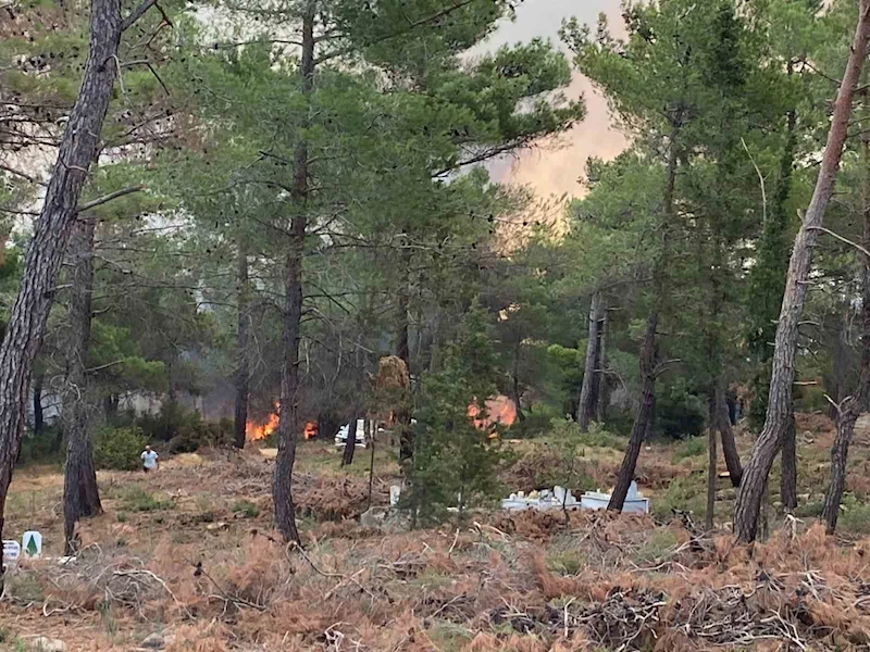 Çanakkale’de orman yangını
