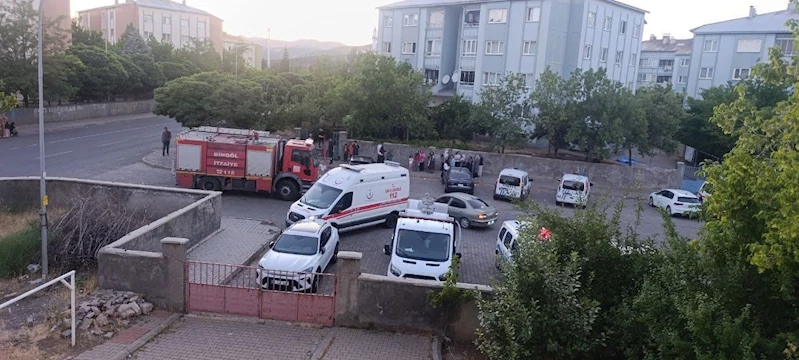 Bingöl’de bina yangını
