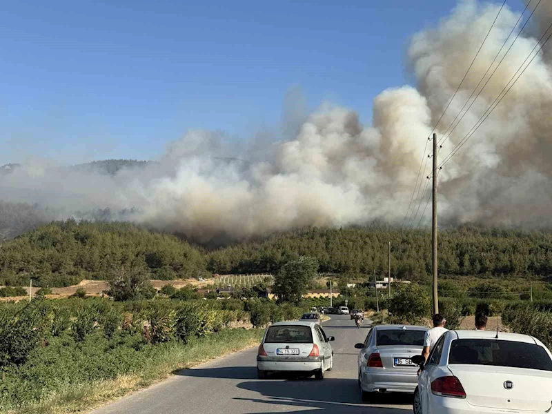 Sakarya’da orman yangını
