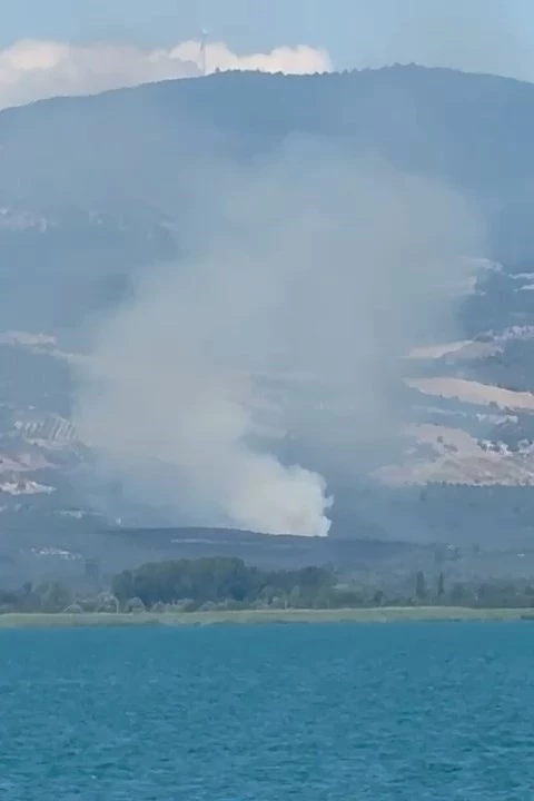İznik’te orman yangını
