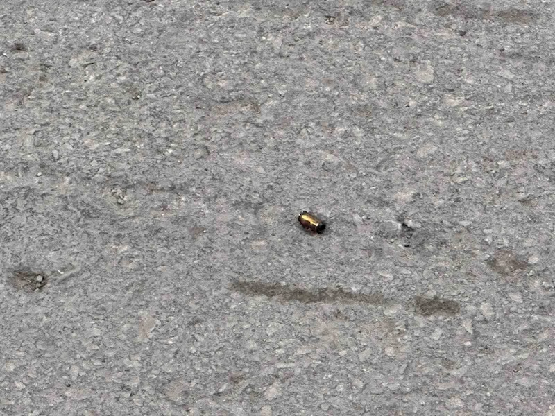 Kurusıkı tabancayla atış yapan şahıslar göz altına alındı
