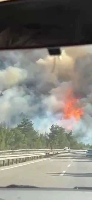 Karabük’te orman yangını çıktı
