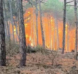 Ekiplerin yangının ortasında kaldığı anlara ait görüntüler ortaya çıktı
