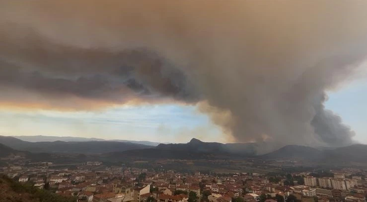 Bilecik’teki orman yangınında son durum
