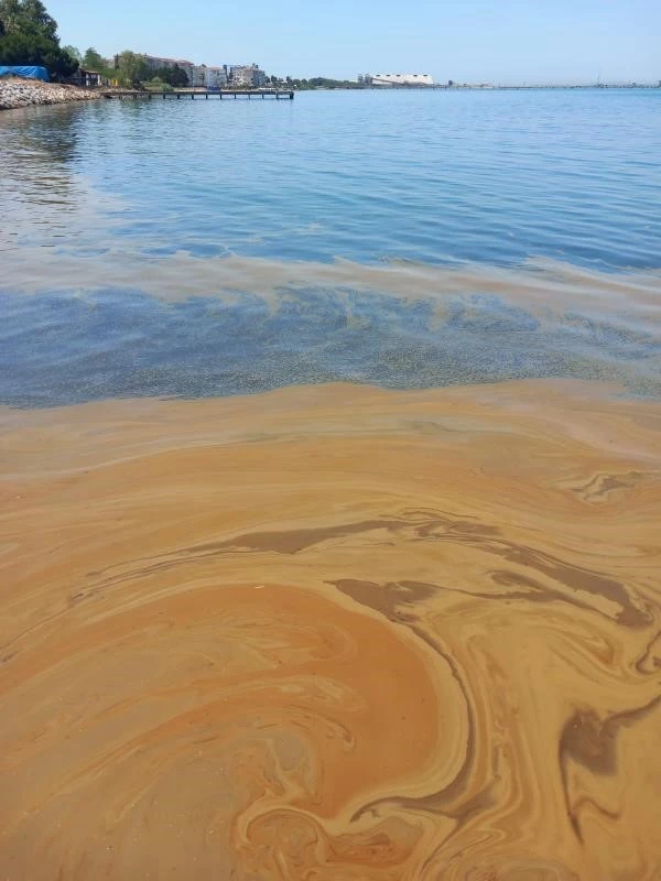 Yalova’da deniz kirliliğine sebep olan fabrikaya inceleme
