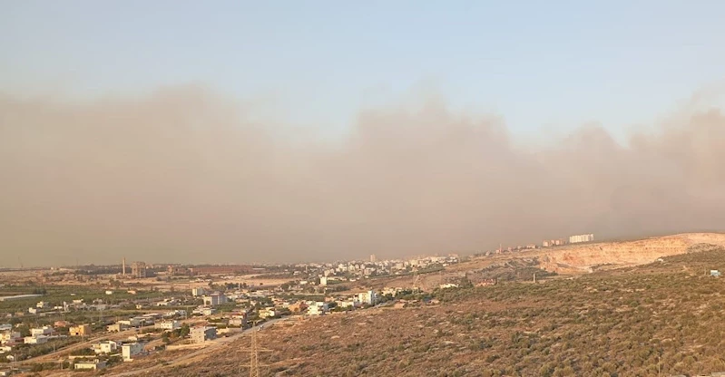 Silifke’de orman yangını
