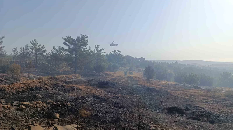 Mersin’deki orman yangını: Havadan müdahale başladı
