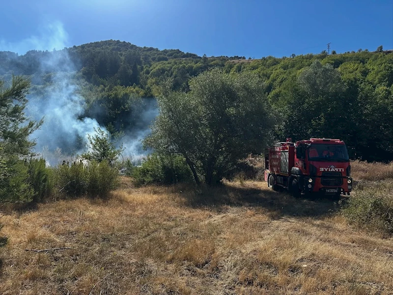 Kastamonu’da ormanlık alanda çıkan yangın büyümeden söndürüldü
