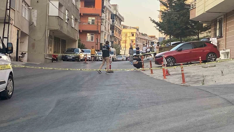 Maltepe’de kamyonetin çarptığı kadın hayatını kaybetti, kaçan şoför yakalandı
